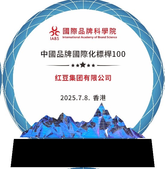 中國品牌國際化標(biāo)桿4